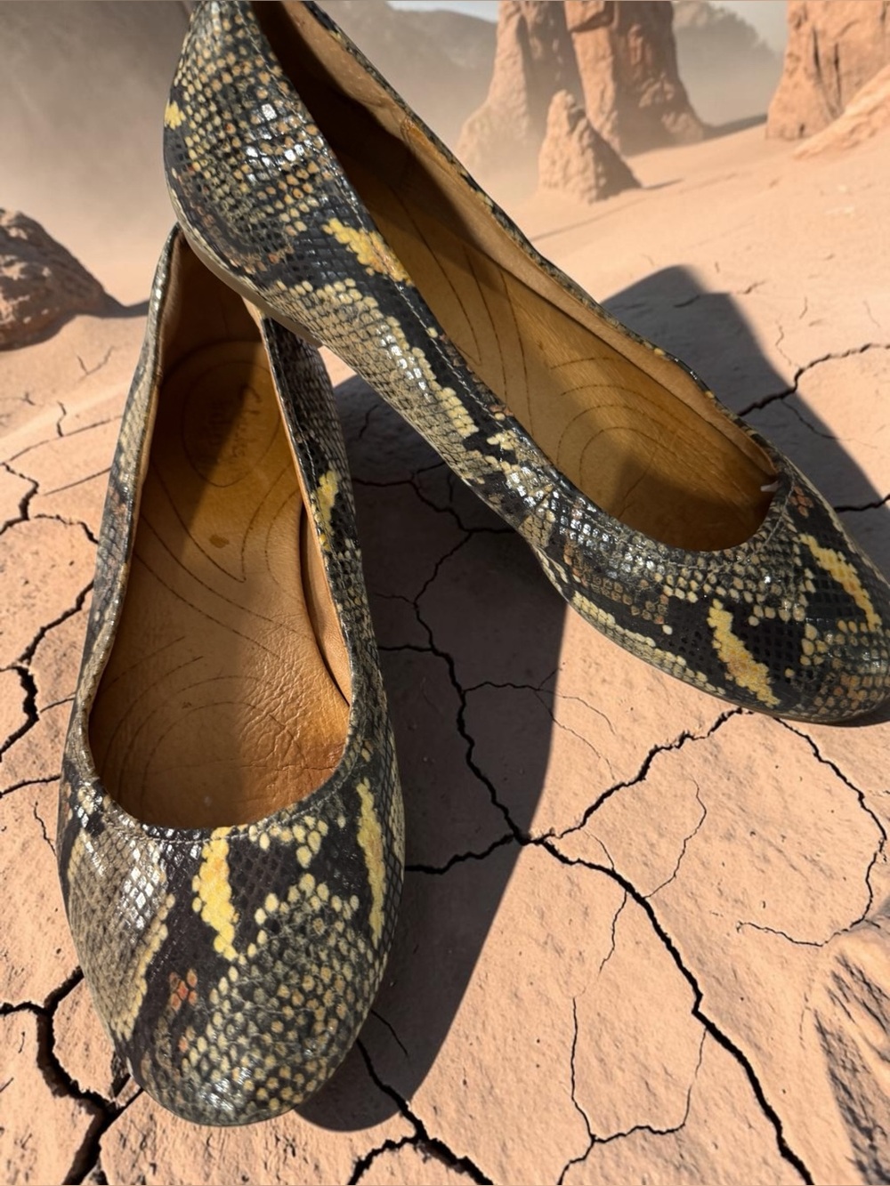 Clark’s Snake-Print Ballet Flats - Black & Yellow - Size 11